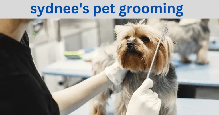 Sydnee's pet grooming
