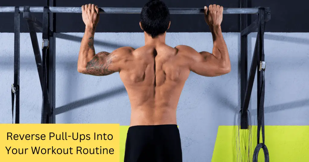 Reverse Pull-Ups Into Your Workout Routine.