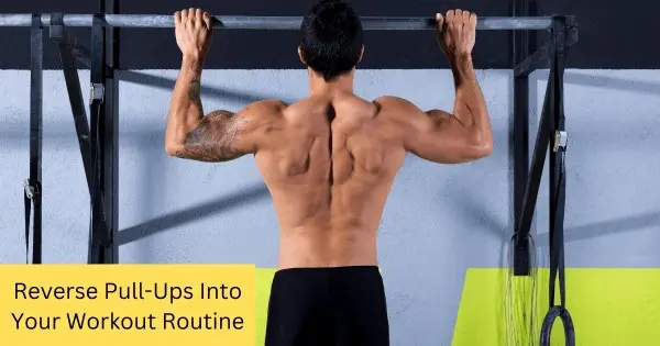 Reverse Pull-Ups Into Your Workout Routine.