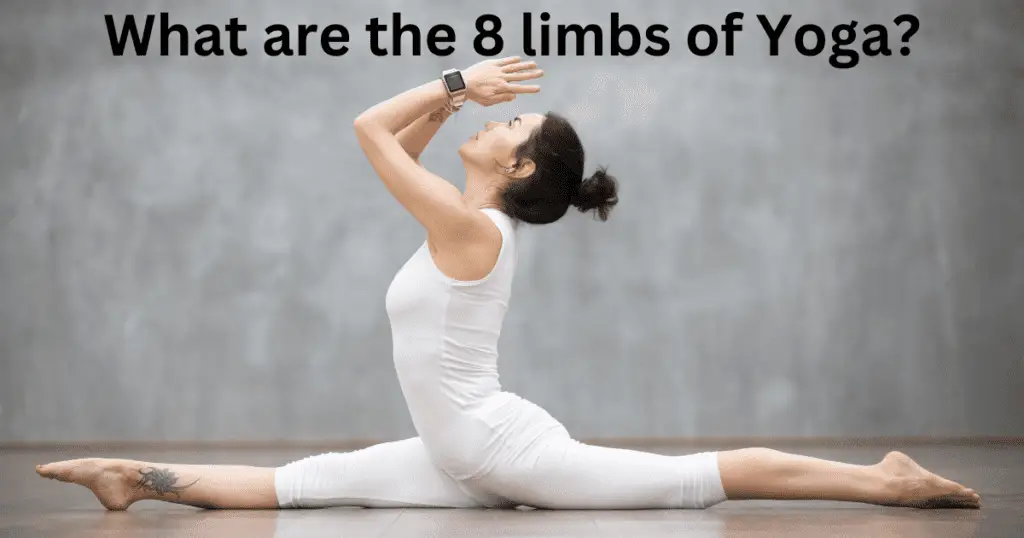 What are the 8 limbs of Yoga?